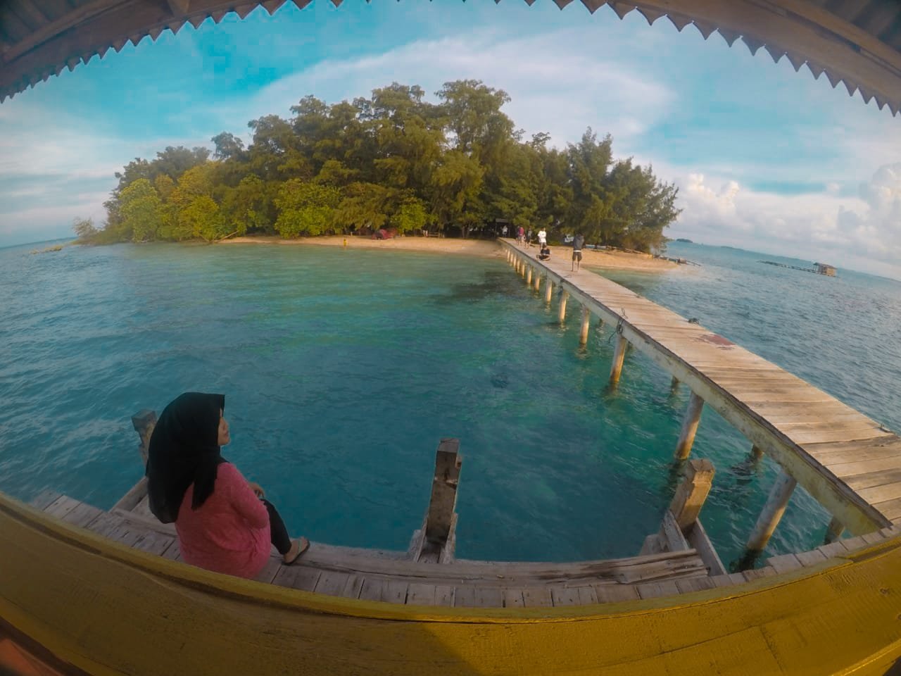 pulau semak daun